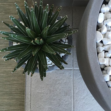 Terrasse Fermob