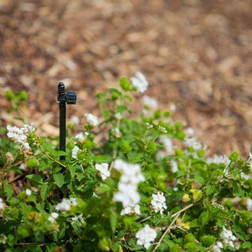 Drip Lines for Drought Tolerant Landscape