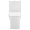 Concorde One Piece Square Toilet Dual Flush 0.8/1.28 gpf, Glossy White