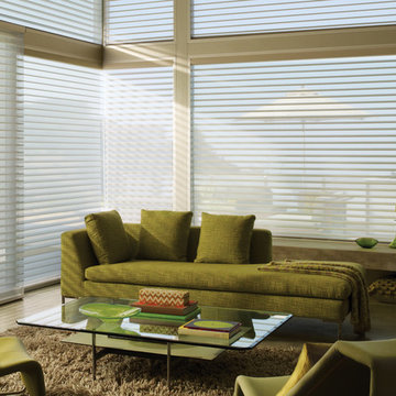 Window Sheers and Shadings