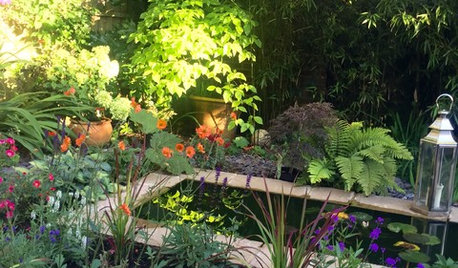 20 of the Prettiest Small Garden Ponds