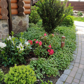 Сад в сосновом лесу/Garden in a pine forest