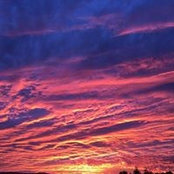 Delia Zavala's photo