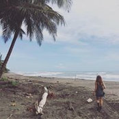 Laia Toll's photo
