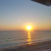 Jeanine Smith's photo