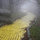 Misty