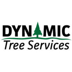 Dynamic Tree Services