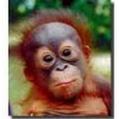 Michael Martyn's photo
