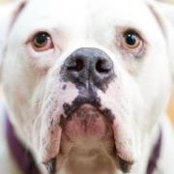 Chuck Hamilton's photo