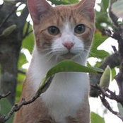 Carollyn Nathan's photo