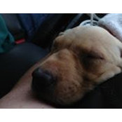 Josane Wagner's photo