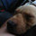 josane_wagner