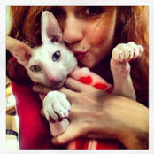 Ally Rivards foto