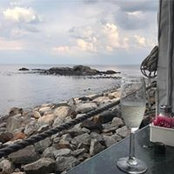 Penny Lewer's photo