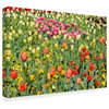Incredi 'Tulip Field' Canvas Art, 32"x22"