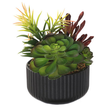 Succulents Arrangement With rocks, Black Pot