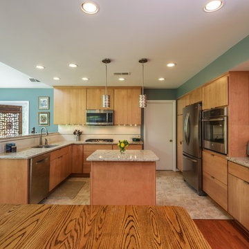 Alexandria Contemporary Kitchen/Addition