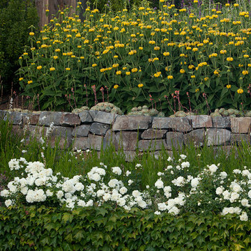 San Anselmo Hillside