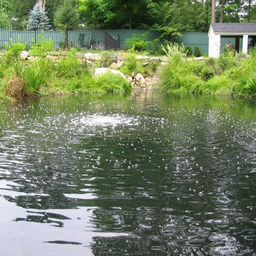 Non-Toxic Residential Pond Restoration, Greenwhich, CT.