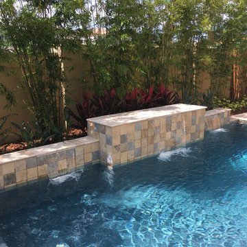 Pool Landscape & Hardscape Makeover
