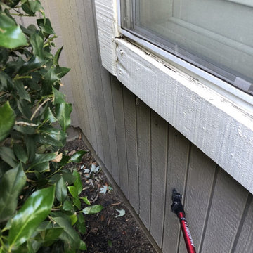 Project Type: The T1-11 siding and trim dry rot repair
