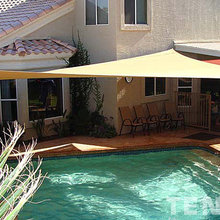 My Backyard Dreams