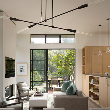 Larkspur Luxe