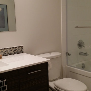 Modern Bathroom - Flat Specialty Melamine Doors with Horizontal Grain