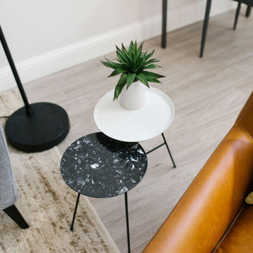 Soma Loft Furnishings Project