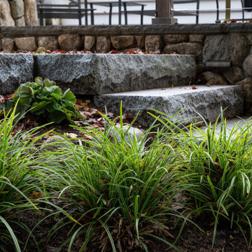 Tranquil Backyard