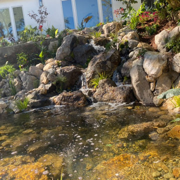 Encino Pond, Pondless Waterfall & Landscape Project