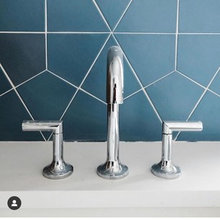 Evergreen powder room