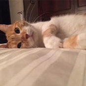 Fabio Lotto's photo