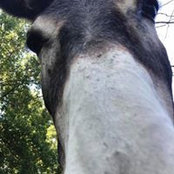 Mackenzie Miller's photo