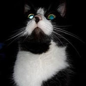 Sandra Brauchle's photo