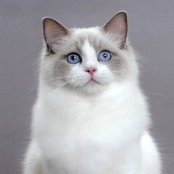 Linda's photo
