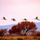 Carmen Miller's photo
