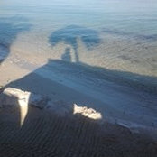 Della Thompson's photo