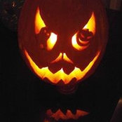 Michelle Otto's photo