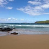 Lina Palaskonis's photo