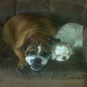 Krissy Cyr Helbach's photo