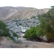 Foto von محمد الشمري