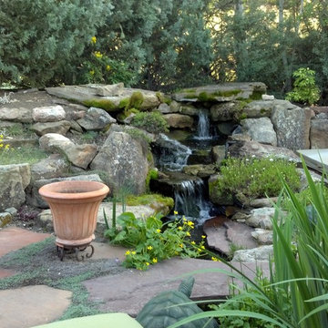 Water features