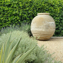 Backyard Design