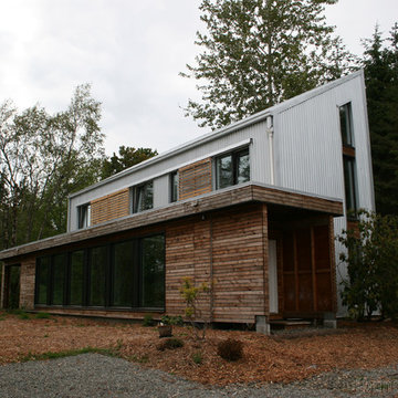 Birch Case Study House