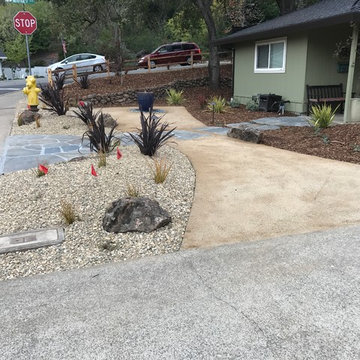 Rocklin Front Yard