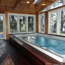 Swim Spa