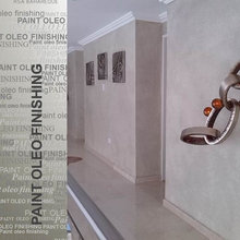 PAINT OLEO FINISHING