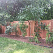 fencing