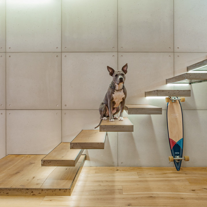 75 Beautiful Floating Staircase Ideas & Designs - August 2026 | Houzz AU
